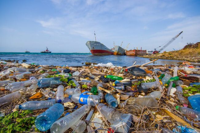Image result for đại dương và rác thải nhựa