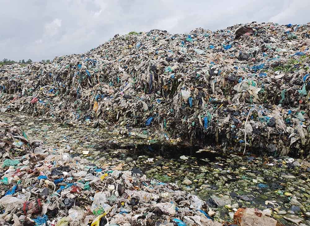 Hơn 300 thai nhi bị bỏ theo rác thải ở Cà Mau