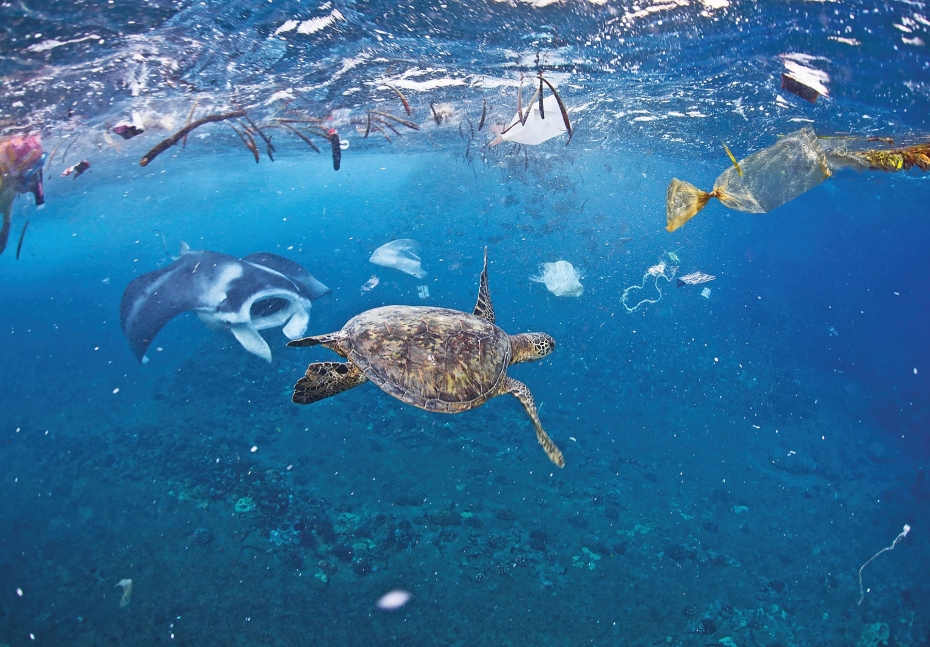 Báo động ô nhiễm đại dương do rác thải nhựa | Phát triển bền vững