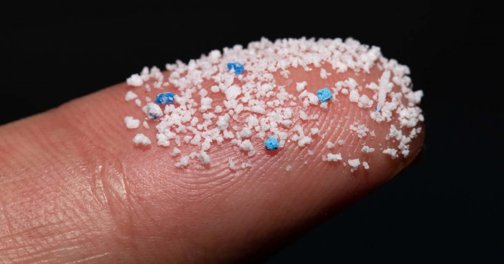 Mối nguy khôn lường từ các hạt vi nhựa - Báo Cần Thơ Online