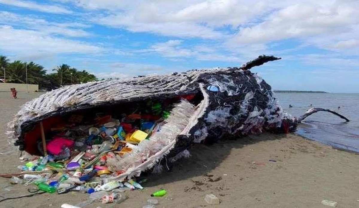Một con cá voi chết vì 40 kg rác thải nhựa trong bụng trên bờ biển Philippines. Ảnh: The Guardian.