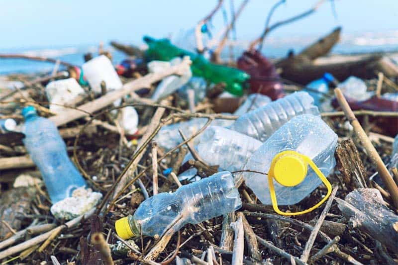 Rác thải từ nhựa - Vấn đề rác thải nhựa ô nhiễm hiện nay