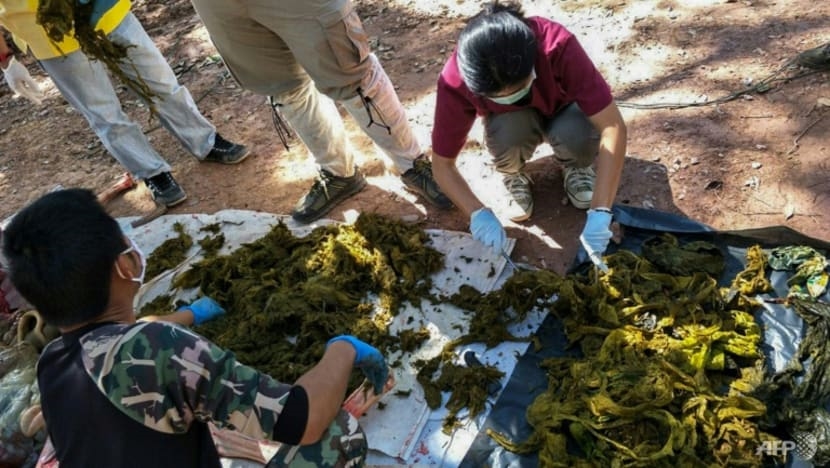 Các bác sĩ thú y kiểm tra chất thải nhựa và các loại rác khác được thu hồi từ dạ dày của một con hươu đã chết ở Vườn quốc gia Khun Sathan, Thái Lan