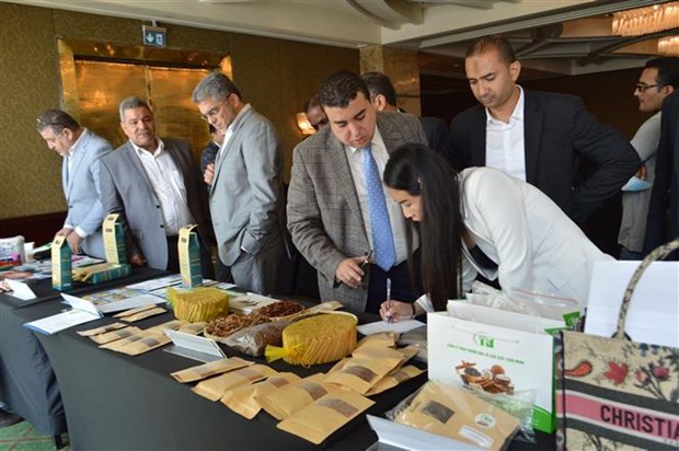 Doanh nghiep Viet Nam va Ai Cap tang cuong ket noi, nam bat co hoi hinh anh 2