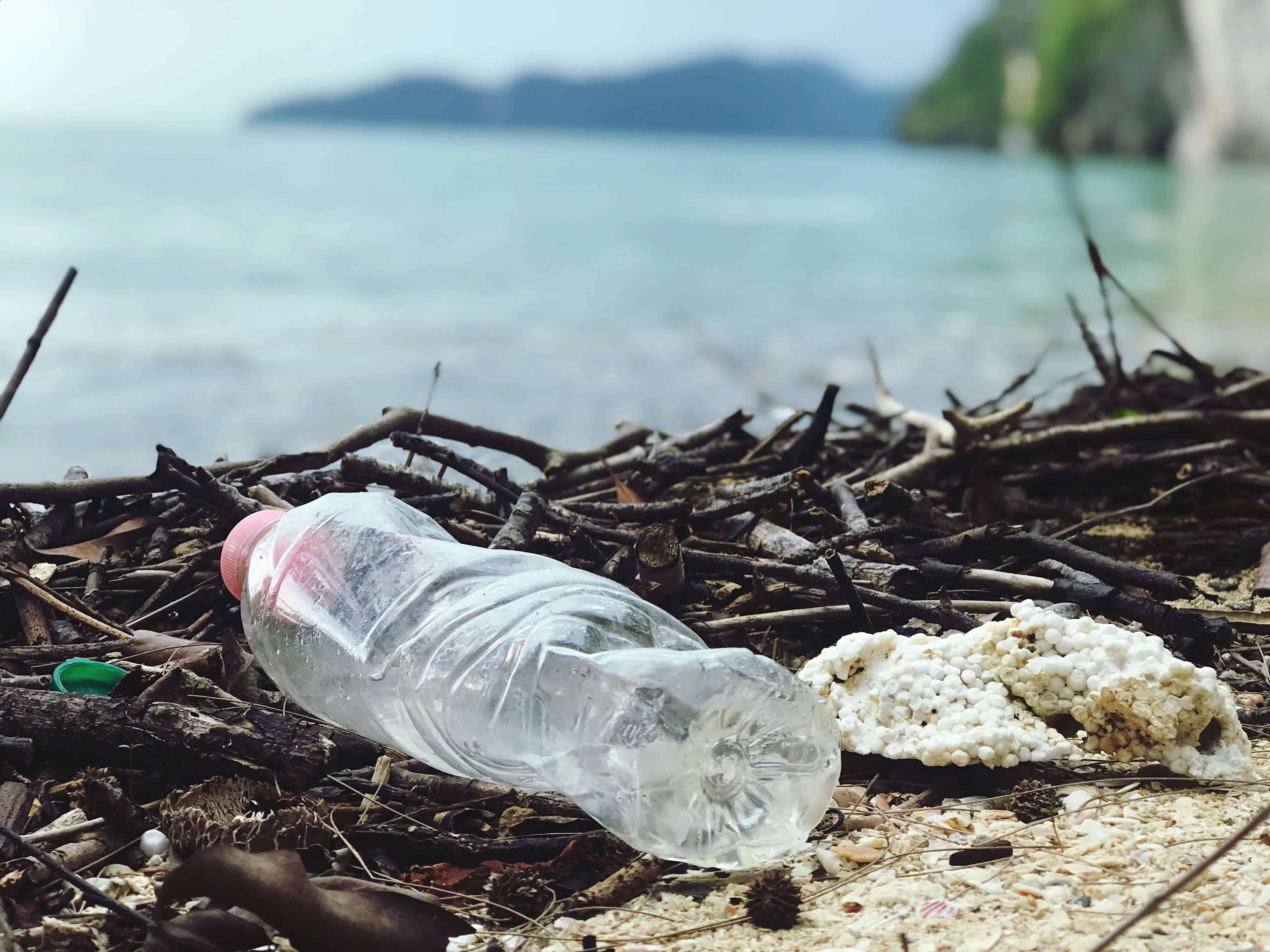 Hiện nay lệnh cấm đồ nhựa dùng một lần đã và đang có hiệu lực tại nhiều quốc gia trên thế giới.