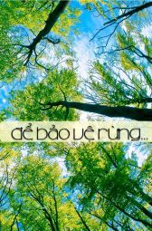 Nhựa & Cuộc sống: Số tháng 5 - 2013