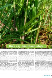 Nhựa & Cuộc sống: Số tháng 5 - 2013