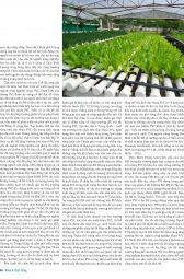 Nhựa & Cuộc sống: Số tháng 6 - 2013