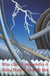 Nhựa & Cuộc sống: Số tháng 6 - 2013