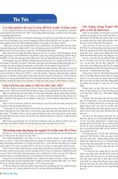 Nhựa & Cuộc sống: Số tháng 6 - 2013