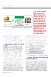 Nhựa & Cuộc sống: Số tháng 3 - 2015