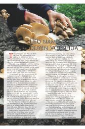 Thế giới Nhựa : Số tháng 4 - 2015