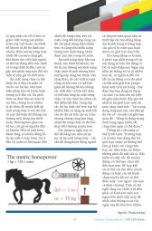 Thế giới Nhựa : Số Xuân 2017