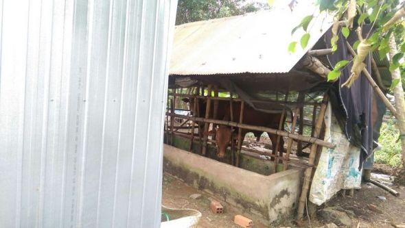 Trạo tặng nhà tình thương tại xã Mỹ Thuận Tây, Trà Vinh