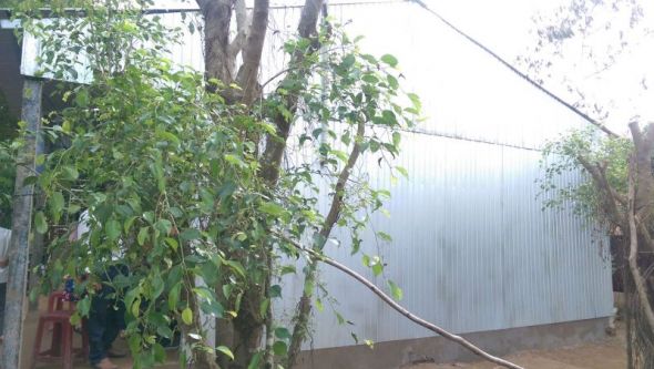 Trạo tặng nhà tình thương tại xã Mỹ Thuận Tây, Trà Vinh