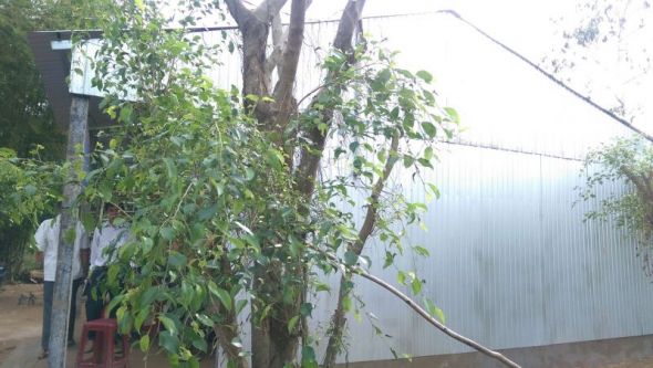 Trạo tặng nhà tình thương tại xã Mỹ Thuận Tây, Trà Vinh