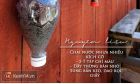 4 cách tái chế chai nhựa cực hay