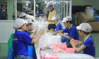 Áp lực thuế đè nặng doanh nghiệp nhựa