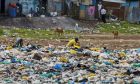 ​Kenya miễn cho bao lót thùng chứa rác chịu lệnh cấm túi nhựa