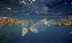 Đẩy mạnh cuộc chiến chống rác thải nhựa trên biển