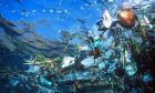 ​IUCN cảnh báo các đại dương bị ô nhiễm vì hạt nhựa cực nhỏ