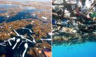 ​ Cảnh tỉnh thực sự: Những bức hình cho thấy rác nhựa đang nuốt chửng đại dương