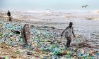Rác thải nhựa đang xâm lấn vùng biển Bắc Cực