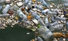 ​ Việt Nam được tài trợ một triệu Euro để nghiên cứu tái chế nhựa