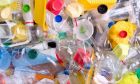 Phát hiện 9 loại vi hạt nhựa trong chất thải của con người