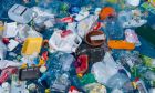 Vi khuẩn ăn nhựa có thể hỗ trợ các nỗ lực tái chế toàn cầu