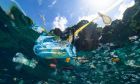 Giảm rác thải đại dương: Không quyết liệt, nhựa sẽ 'nhiều' hơn cá